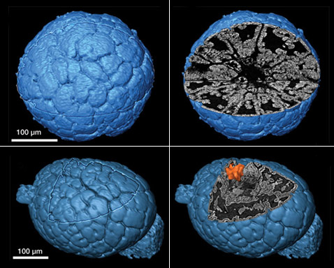  ,    .  ,       ,  "" ( Philip Donoghue).