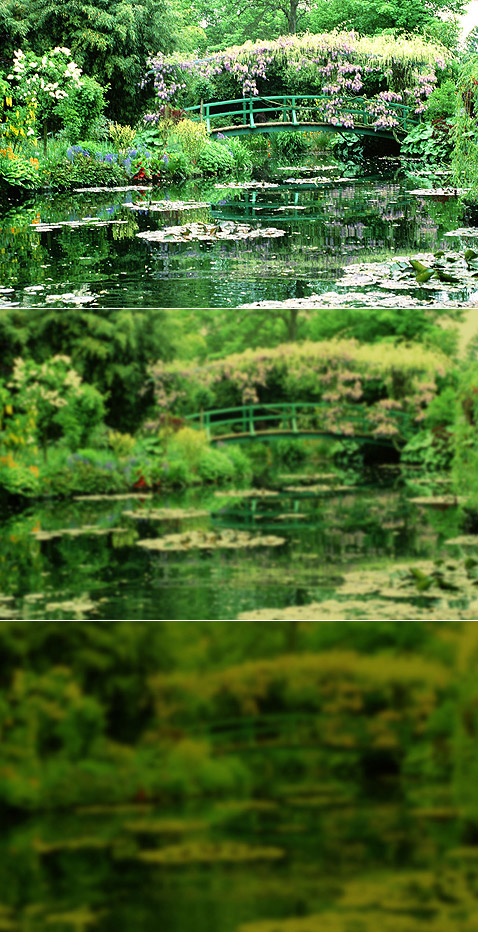       ,     ,       :   ,             ,       20/200 (    ),     1922  ( Elizabeth Murray,  Michael Marmor).