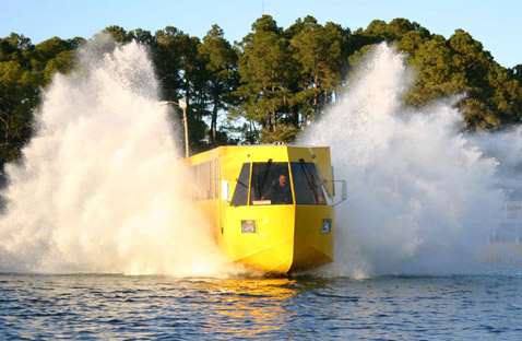 Hydra�Terra, ���� �� �����, ��������� ������. ��������� �� ������� � �� ���� ����������? (���� CAMI).