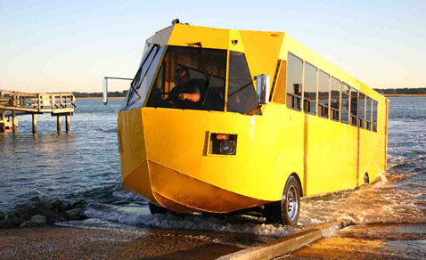 Hydra�Terra ���������� �� ����� (���� CAMI).