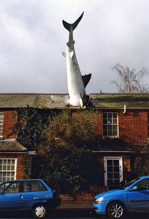 ����� ���, �������, ������, ������ ����� ����� � ���������� � �������� ����� �����-�� �� ����� �������. �����, ������ ��� � ���� ����������� ����� �� �����������? (���� � ����� wikimedia.org).