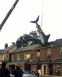 9 ������� 1986 ����. ������ �����, ��������, � �� �����, ��� ��� ������������ ������ (���� � ����� headington.org.uk).