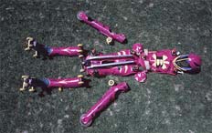 Buggy-Rollin   .      ,       .