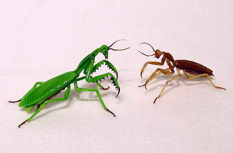 ����� (�����) �&nbsp;����� (������) ��������. ��� ���������� ��� ������� ����� �������� ��&nbsp;������ ���������. ��&nbsp;��&nbsp;�� ��������, ������������ �������������� ����, ����� ���� ��&nbsp;������&nbsp;� ���-����� ������� ��������� ������ �������, �&nbsp;������ �������� ���������� (���� �&nbsp;����� mostlyglass.com).