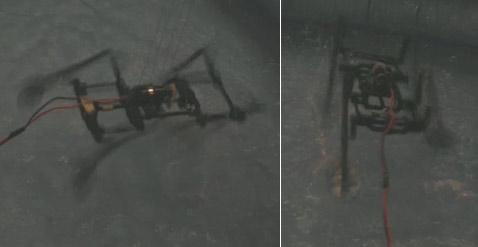 ����������� �����-������� � ��������. �������� �� ��, ��� ������� ��������, �� ��������� �������� ����. ��� ����� �� ���������� ����� �� ���������. �� ����� ����� ����� ����� �����, �� ������ � �� ������� (����� NanoRobotics Laboratory).