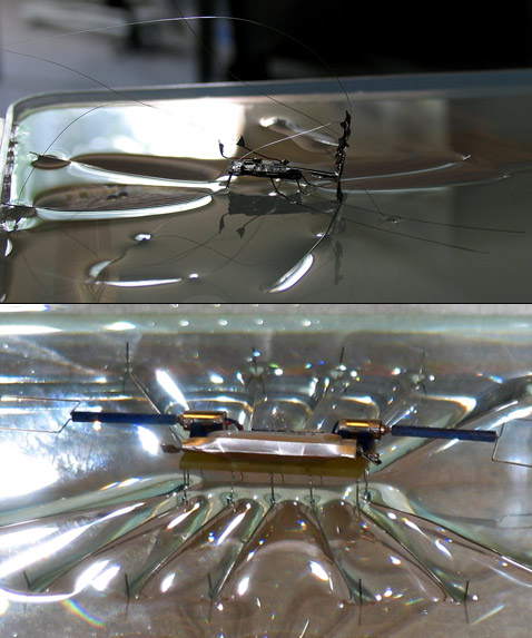 ��� ������ �������-��������� (������-��, �� ���� ��������� ����������� ������). ����� ��� ���� ������� ���������� 5 �����������, ������� � ���� ����������. "�������" ����� ������� (������ ��� ������ ���� ��� �� ������ �� ����� � 6, 8 ��� 12, � ����������� �� ������) ��������� ������������� �������� (���������� ������������ �� ����������� � ���������) 40 ��� � �������, �� �� ��������� � ����, � ����� �� ���. ��������� ����� ������ ���� ��� ����������� ������������� ������� �� �����, ������������� �� ���� ���� �������������� ��������� (���������� NanoRobotics Laboratory).