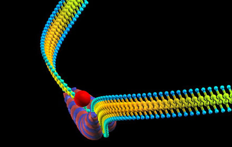 ���� �� ��������� ������������� ����� �������� �������. ������� (������� �������� � ������ ��������) �������� ����� ���������� ���� (������� � �������, �����&nbsp;� �������). "���������" ��������� ��� ������ (������� �����) (����������� � ����� web.mit.edu).