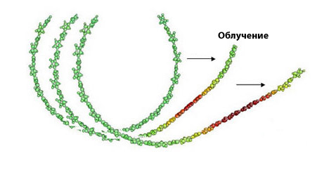 ����� ������ ����. ������������ ����������� ���������� ���� (������ ����) ��������� � �������� ���������. ��������� � ��������� ����������� �������� ������ ������������� ������ (������� ����) � ������������ �������. ������ ������ ���������� ����� ����� �������� ����, ���������� � �� ���� �������. ����������� ���� ��������� ��������� �������� (����������� � ����� web.mit.edu).