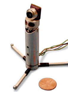 ��� ���� ��������, ����������� ����������� � ������ (���� � ����� webmedia.unmc.edu).