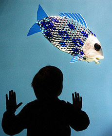 G8 ���������� ������ ���������� ��������� (���� AFP/Adrian Dennis).