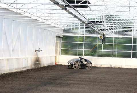 ���� ����������, ����� ��������� �� ������ "������������� ������", �������� ���� (���� � ����� ramsbergschule.de).