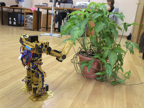 ��� �������������� ����� �� ������������ ��������� ������ (���� MEMBRANA).