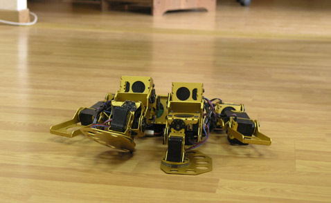 �����&nbsp;� ������ ����� ������������ ��������� (���� MEMBRANA).