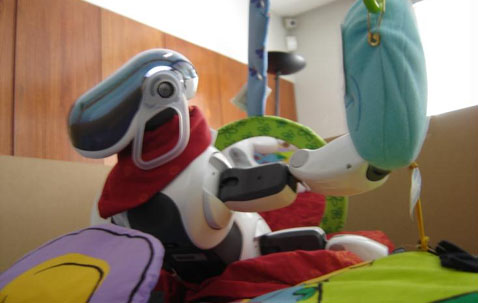 ��� ����� �� ���� �� ������� (���� � ����� playground.csl.sony.fr).