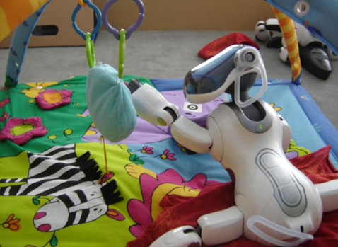 � ��� ������ ��������� ������� ���������� (���� � ����� playground.csl.sony.fr).