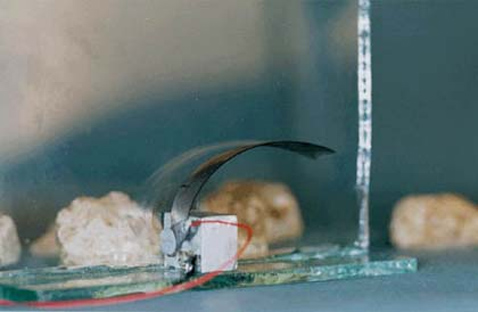 � ���&nbsp;� ������������� ������� �� �������� (���� � ����� jpl.nasa.gov).