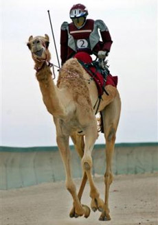      ,       ( AP/Kamran Jebreili).