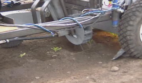 ����� �� ���������� "�����������" �������� � ��� ���������� ������� � ������������ "��������" (����������� Halmstad University).