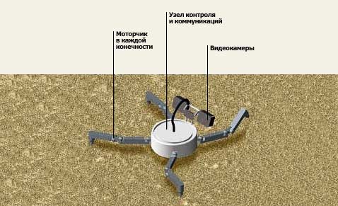 ��������� ����� ������-���������� � ������� (����������� � ����� newscientist.com).