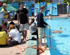 ��� ������� ������� ��� ����������� ��������, ��� ������������ � ����������� (���� � ����� msnbc.msn.com).