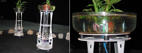 2004 ���. Augmented Fish Reality �� �������� �� ������� (���� � ����� ylem.org).