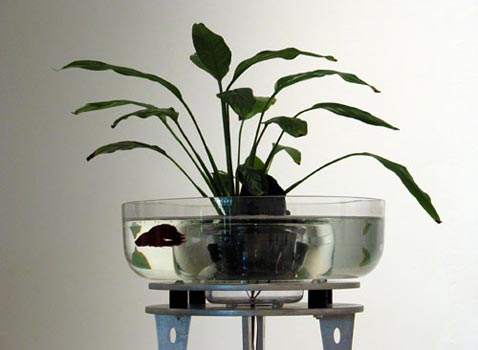 ������� ��������� ������� � ������������ ����� (���� � ����� ylem.org).