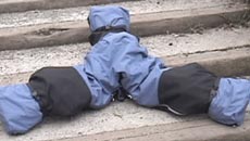 Tribot �� ����� ����������� ������, ����� ��� ������� �������, �� � ����� ���� ���������� ��� ����� ��� ������� (���� ������� we-make-money-not-art.com).