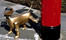 ϸ� RS-01, ��������� ������ RoboScience, ��������� ������ ����, ��� ��������� (���� roboscience.com).