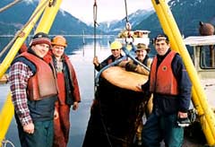 ��������� ������� ������ ������� �� ���� ����� ���������� (���� � ����� tritonlogging.com).