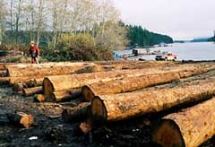 � ��� ������� ������� ������ �� ����� (���� � ����� tritonlogging.com).