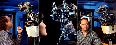 ������� COG, ��������� � ����������� ��������������� ���������������� ��������� (MIT