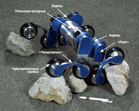 �������� �������� Octopus (���� � ����� asl.epfl.ch).