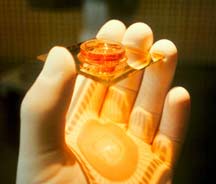 � ���� ������� ���� ��������� ����� �������������� ��������� (���� fishandchips.uwa.edu.au).