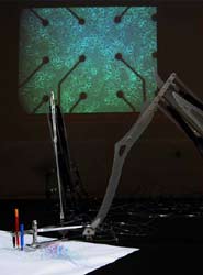 ���� MEART ���������� � ��������� (���� fishandchips.uwa.edu.au).