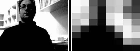 ���� �� �������� � ��� 64-���������� ����������� (���� fishandchips.uwa.edu.au).