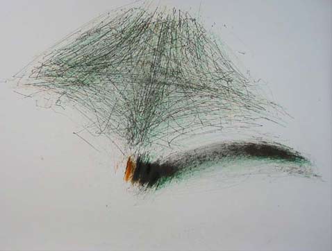 ���� �� ����������� ����� MEART (���� fishandchips.uwa.edu.au).