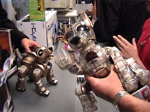 ���� ������ �������� ��������� ����� �������� ��������, ������ ��� �� ������ ����� ��������� ����� �������� ����� �����? (���� robots.org).