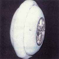 ������ "�������" ��� ������� �����, ������� �� ������� (���� acae.cuhk.edu.hk).