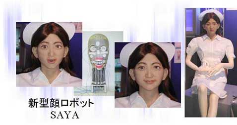 ����� SAYA, �������� ������ ������������ �������� ���������. ������� � �����. ��������, ����� ��� �������� �� ������, SAYA ����� ������ ���������� � ������ �����.