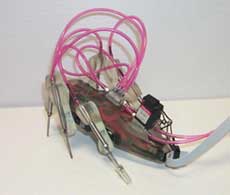 � �������� ���� ������ �������-���������.