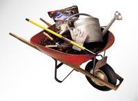 ������� �����. ���, ��� ���������.