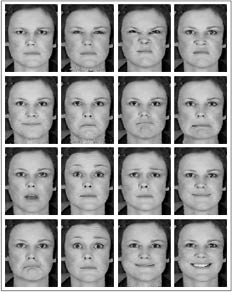 16 "�������" ��� ������������� ������� ��������� ���� (���� old-www.idiap.ch).