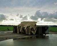     (   strandbeest.com).