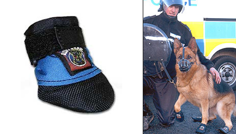  ""     (   ruffwear.com  bbc.co.uk).