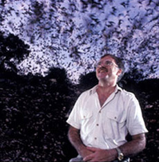       ,        (Merlin Tuttle),          (Bat Conservation International  BCI)     (   earthsky.com).