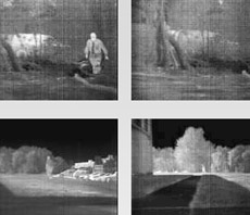  "" ,     (   seraphim.co.il).