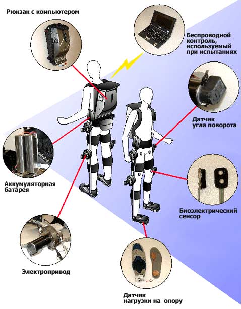  HAL     ,     ,        (   sanlab.kz.tsukuba.ac.jp).