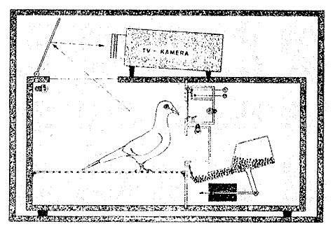     ,        (   stangl-taller.at).