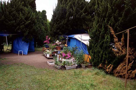 � ����� ������ ��������� ���. �����������, ������ (���� Kyohei Sakaguchi).