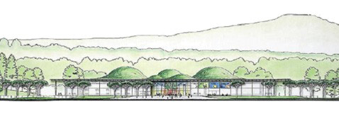 ��� ������ ��������� ����� ������ �������������� �������� ���� (����������� California Academy of Sciences).